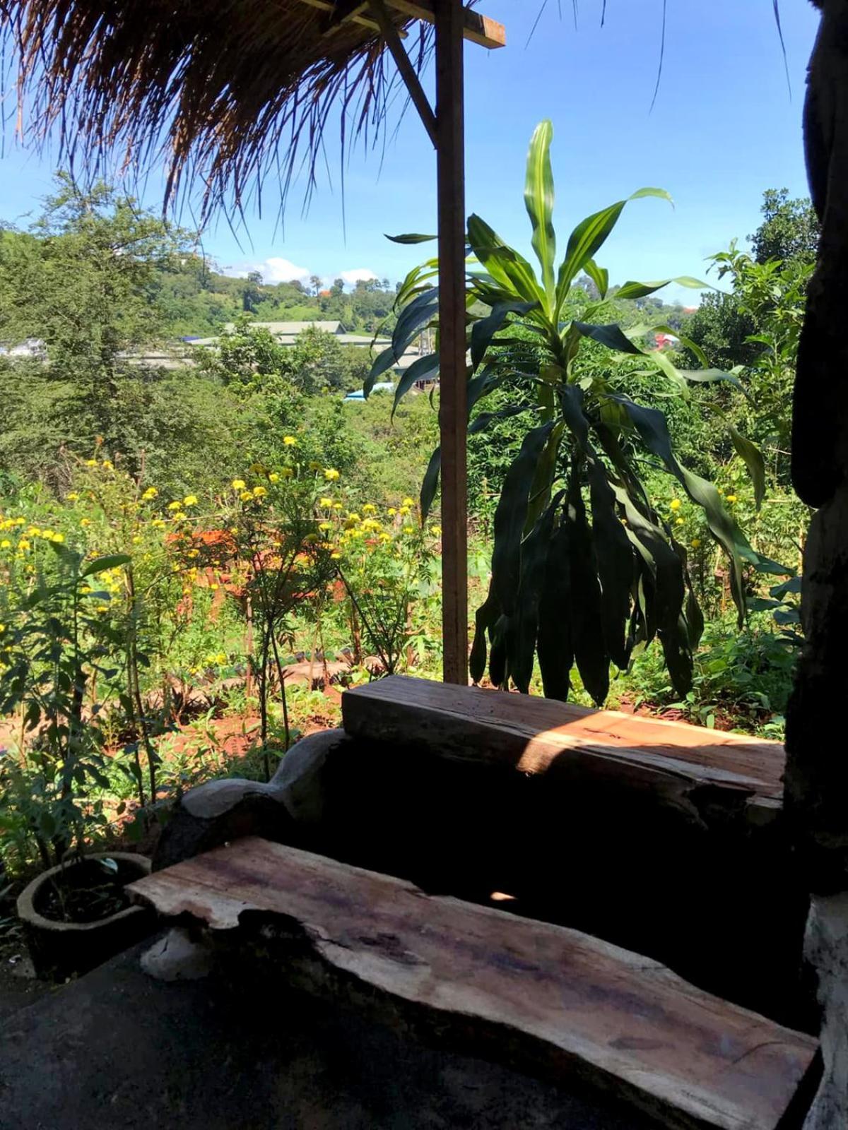 Backpacker Hostel And Jungle Trekking Banlung Exterior photo