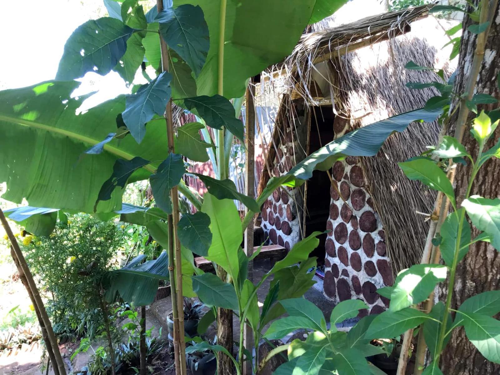 Backpacker Hostel And Jungle Trekking Banlung Exterior photo